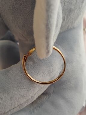 Minimalist Gold Hoop Earrings for Women